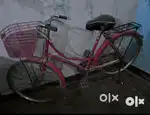 Ladies cycle