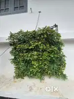Plastic plants artificial green wall