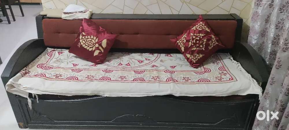 Sofa cum Bed