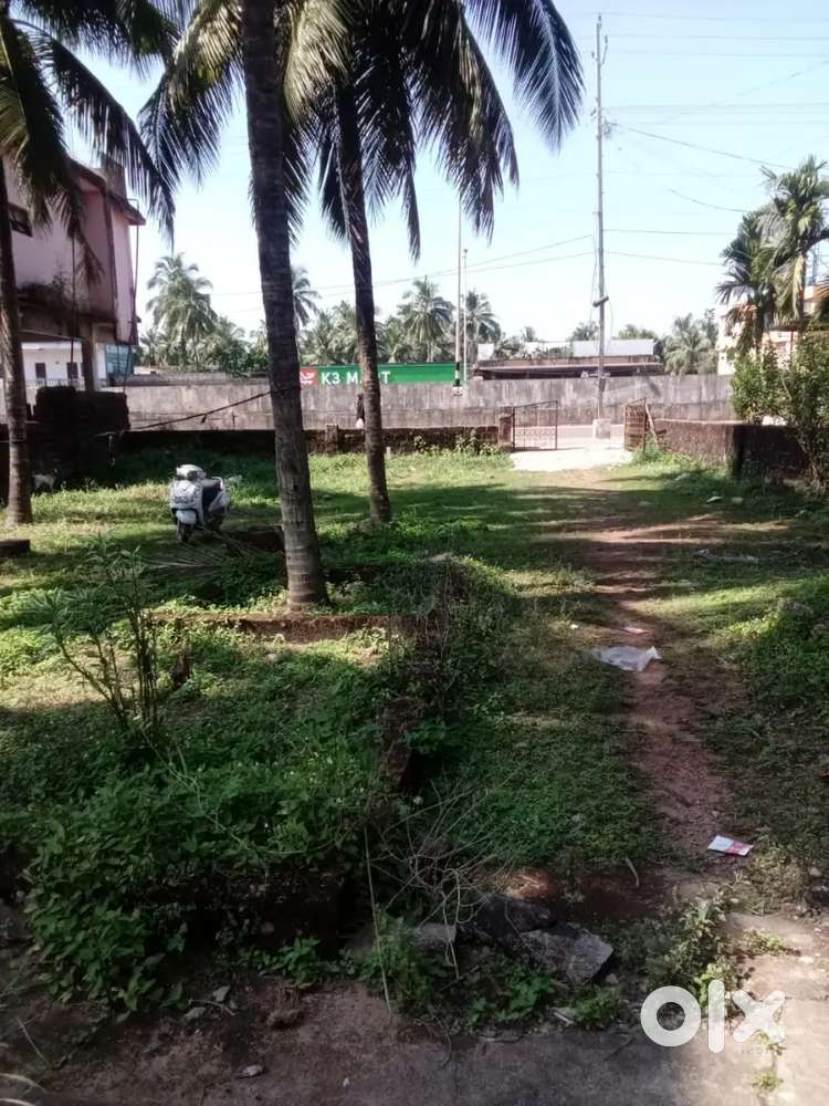 Land for rent for Nursery & Advertisement Holdings