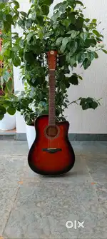 Acoustic guitar - Great condition