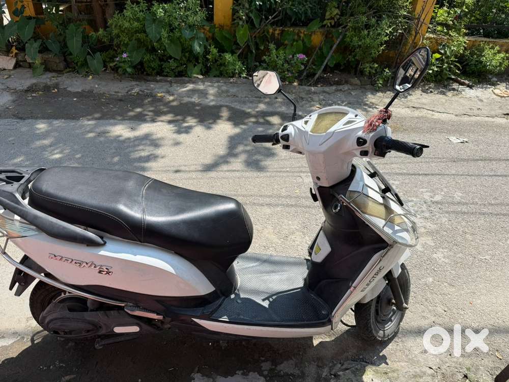 Magnus ex 2022 model