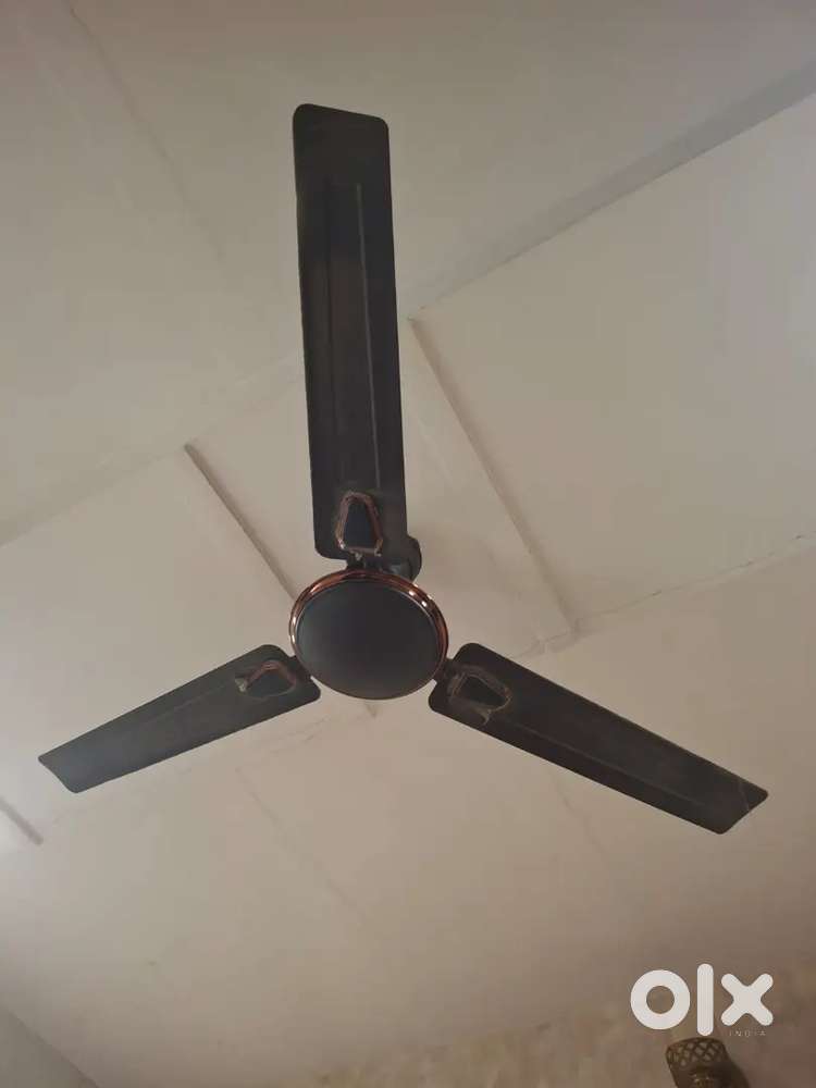 Brand new Bajaj ceiling fan