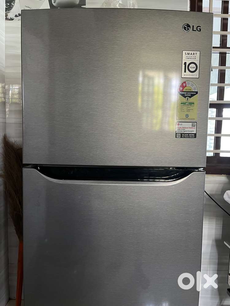 LG 242 Litres (GL-N292DDSY, Dazzle Steel) 2024 model Fridge