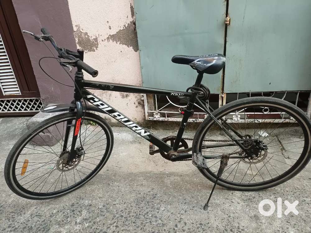 Calburn cycle in condition one years old
