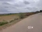Agriculture Land
