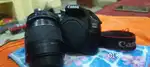 Canon d1300