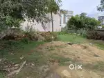 Indipendent plots for sales