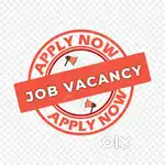 BPO/TELECALLER