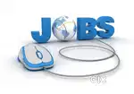 MULTIPLE CODING NUMBER SHEET WORK FROM HOME AVAILABLE
