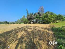 Land for sale near Auroville,ECR- (150 cents) Per cent : 2 Lakhs