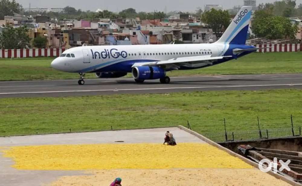 Great opportunity for Airport jobs ground staff /ticketing /cabin crew