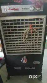Cooler one year old