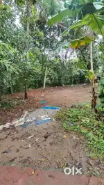 7 cent Residential Property for Sale at Vazhavila, Kattaikonam