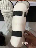 Cricket kit
