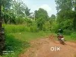 KAKKANAD KANGARAPPADY 7 CENT FOR SALE.