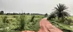 Plot sell NH 2 Highway from 3 km. (Near Rajbandh )
