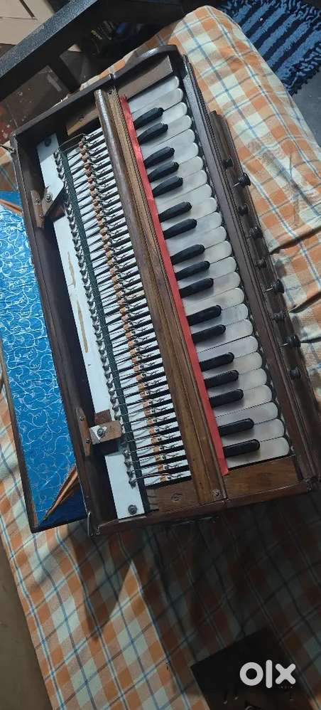 Harmonium jeevanlal reed