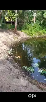 79 cent plot for sale at Perumpalam island ideal for resort