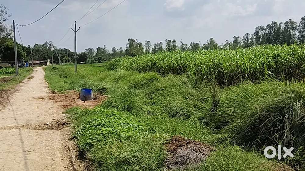 सस्ती और उपजाऊ वाली कृषि भूमि जमीन खरीदे बहुत ही अच्छे लोकेशन पर