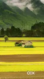 If anyone genuine buyers interested in buying plot near sonapur please