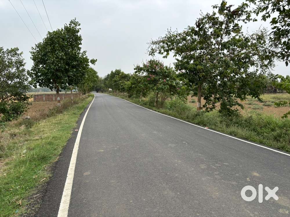 6 Lakh/kattha (7 bigha)Nice Corner Investment Plot At Masaurhi, Patna.