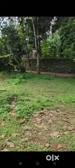 പുന്തല സൺറൈസ് ഹോസ്പിറ്റൽ സമീപം