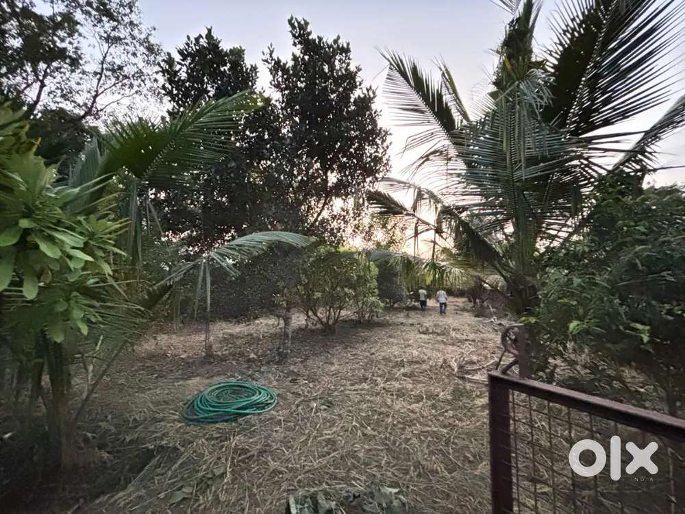 28 cent plot for sale in Nellikatta