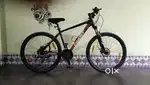Giant Rincon Disc 2019