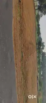 Land Sale Koduvilarpatty