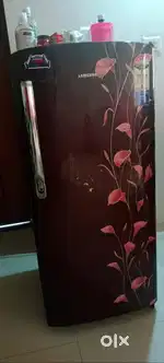 Sumsung fridge