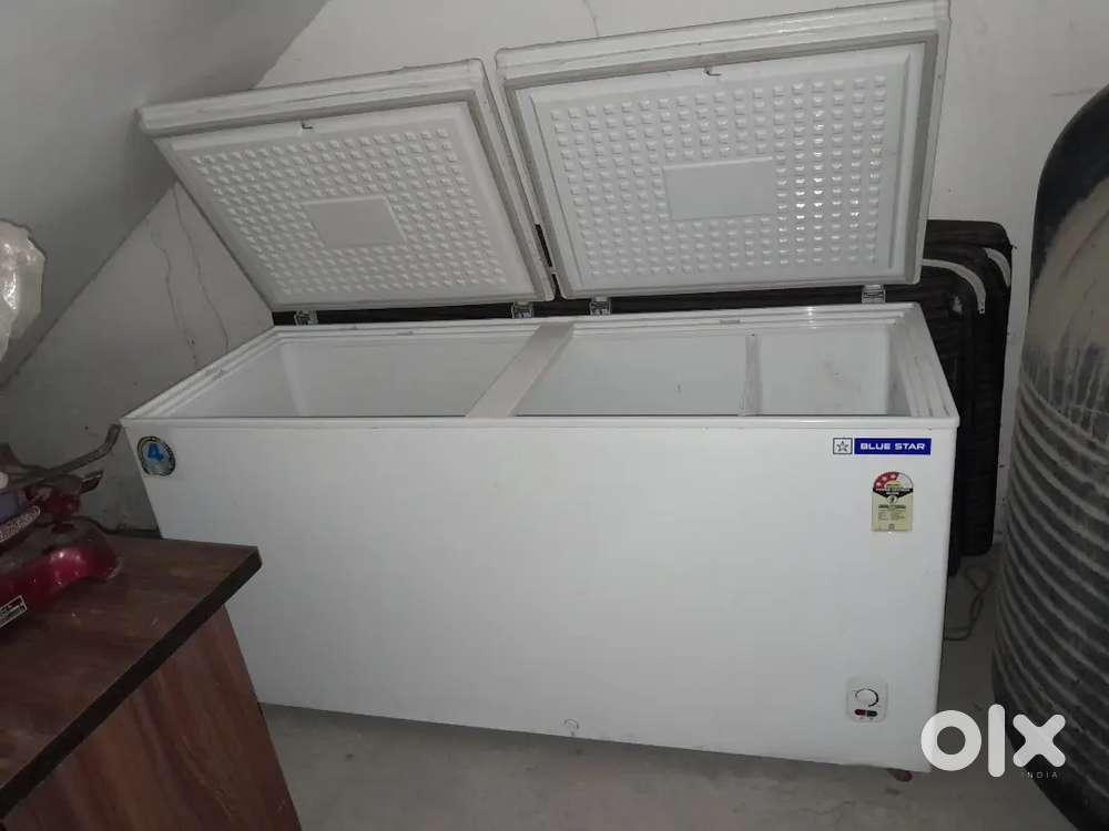 Blue star Deep freezer 500lt