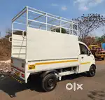 Jeeto Plus Diesel 2020