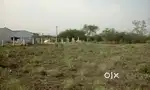 પ્લોટ વેચાણ જોઈએ છે
