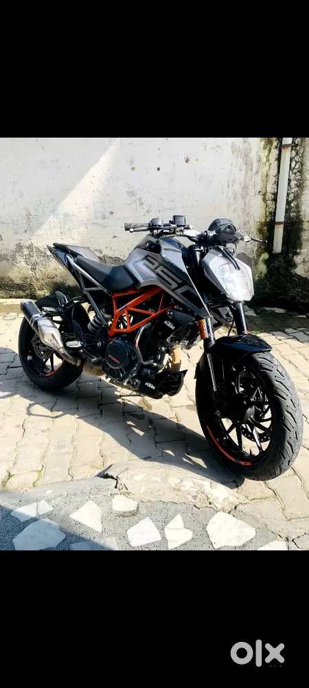 Duke 250 best condition UK roorkee