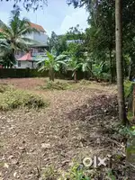 Kadungallor plot for sale