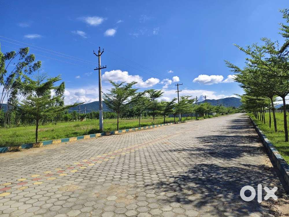 Prime Plots for Sale with DTCP Approved