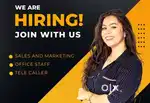 SALES EXECUTIVE