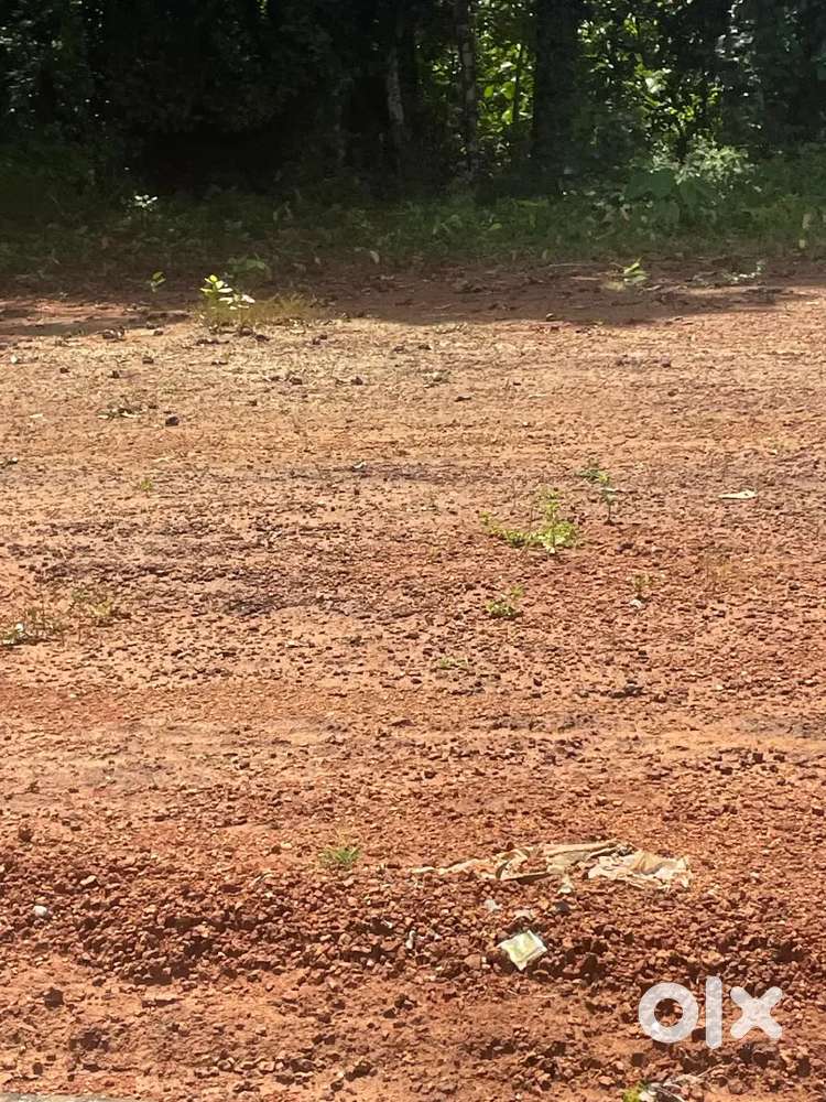 Housing Site in Parkala for sale