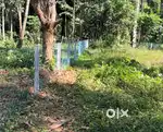 10 cent plot for sale 90k/cent
