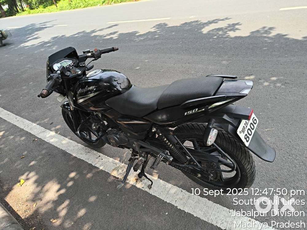 Pulsar 150 twin disc.