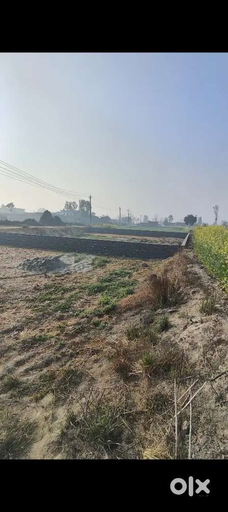 504 gaj Ratangarh gav k bhar haj  , kaithal road se 700 miter andr h