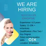 Telecaller Executive