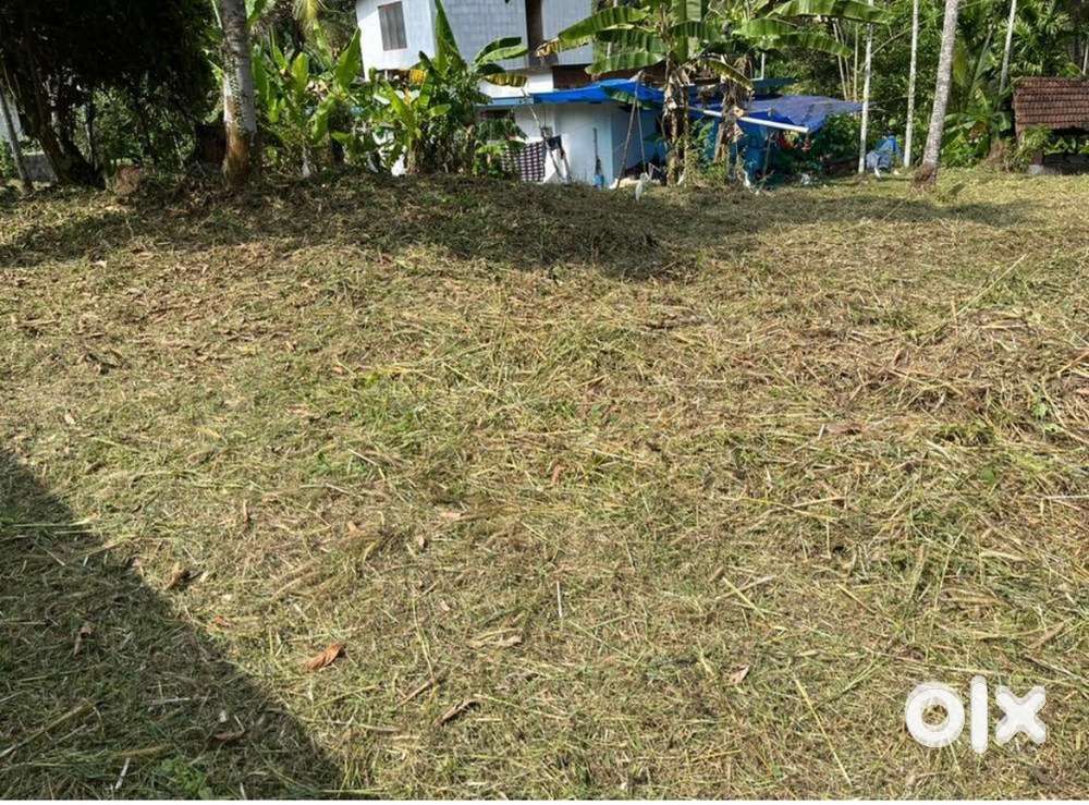 7.5 cent 2  plot for sale per cent 2.25 lakh