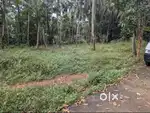 26 cent plot / Akkikavu/ karikkad