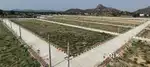 Just 27000/- per sq yrd near bongloor orr exit no:12