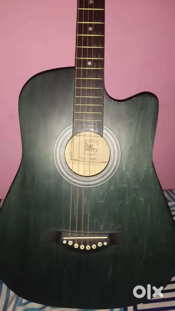 Blueberry guitar