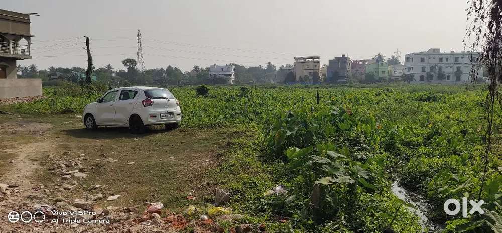 14 decibel bastu land ,near kausallya more