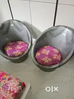 Two plastic chair  with  cusion very good condition