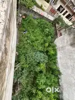 250 Gaj plot 35 Front a Ranjeet Nagar Bhadson road